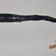 The giant shipworm without its shell. Image: Marvin Altamia)